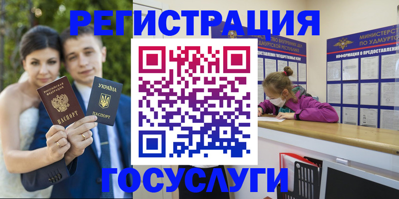 прописка поиск в Светлогорске