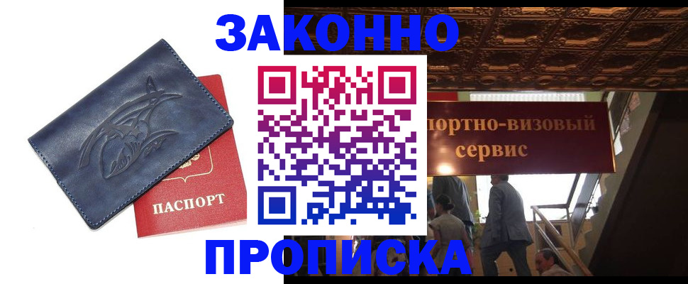 прописка поиск в Светлогорске